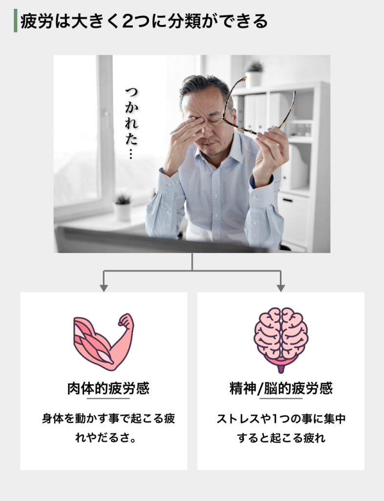 疲労には2種類がある