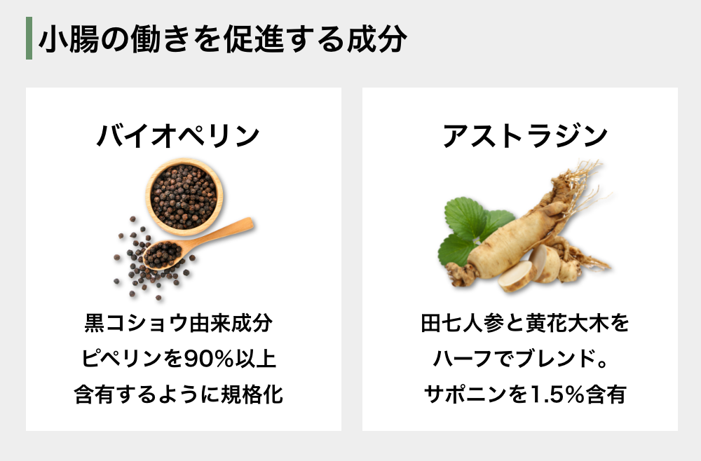 疲労回復におすすめのビタミンミネラル – 2