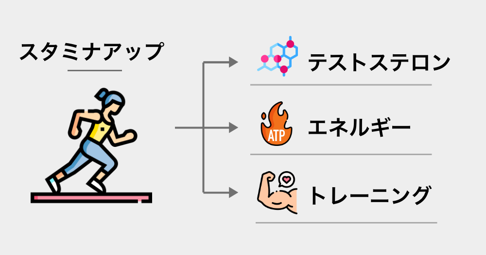 疲労回復のポイント – 1